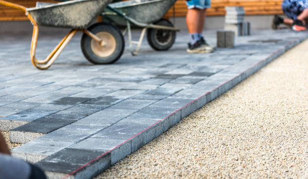 Professional Driveway Paving Services in Ripley, MS